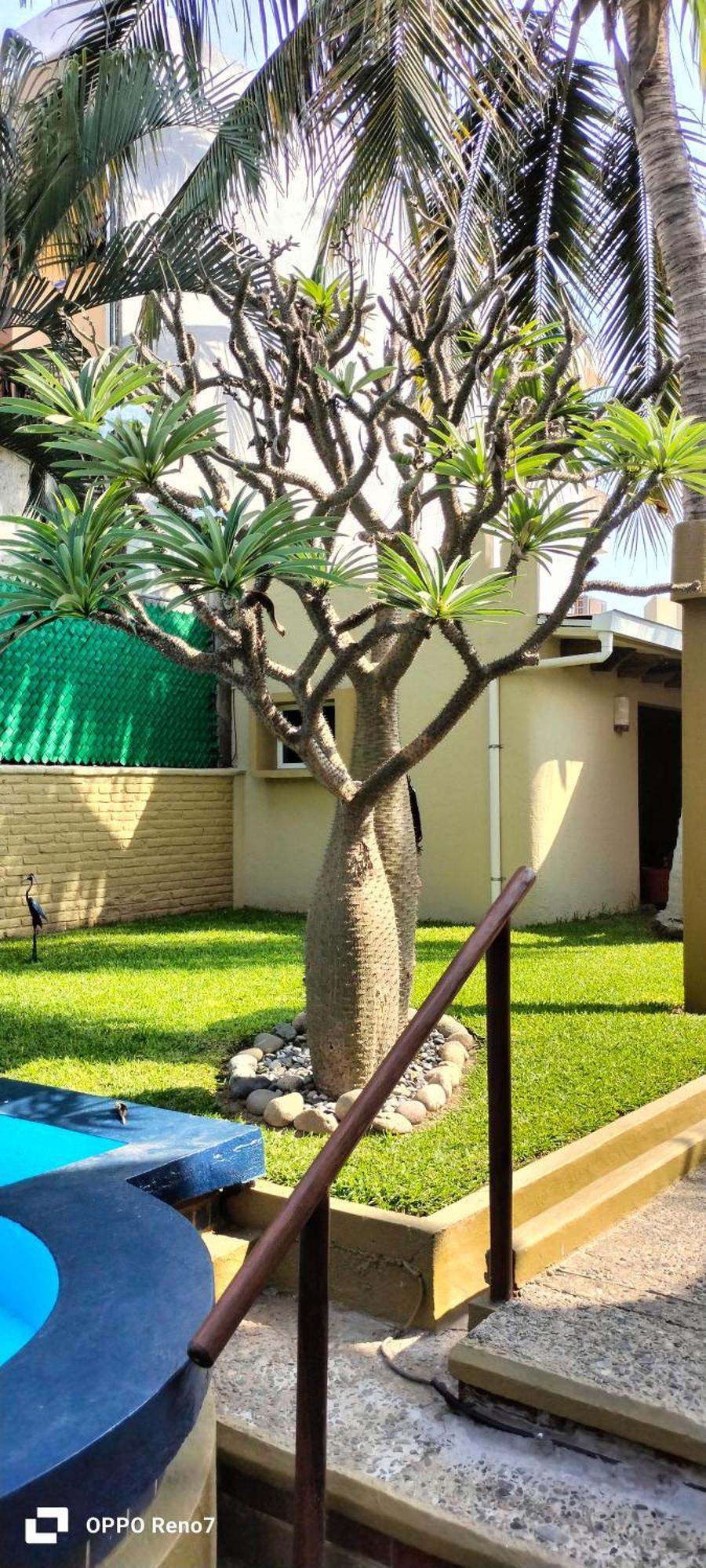 Villas Miramar Zihuatanejo Luaran gambar